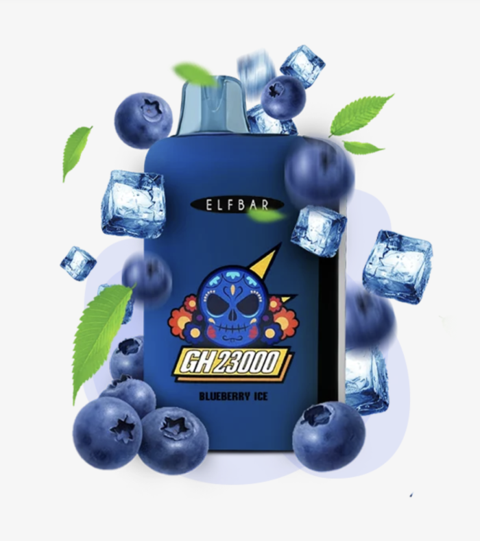 Elf Bar GH23000 - Blueberry Ice 5%