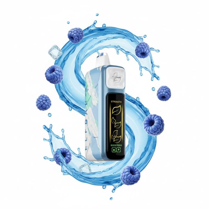 Elf Bar Nic King 30000 - Blue Razz ICE 5%