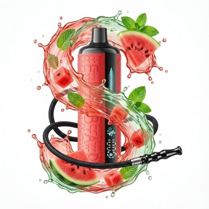 Elf Bar E Shisha 12000 - Watermelon Mint 5%