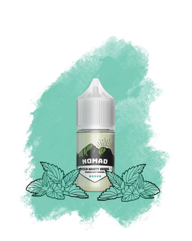 SALT Nomad - Classy Mint 30мл (50мг)